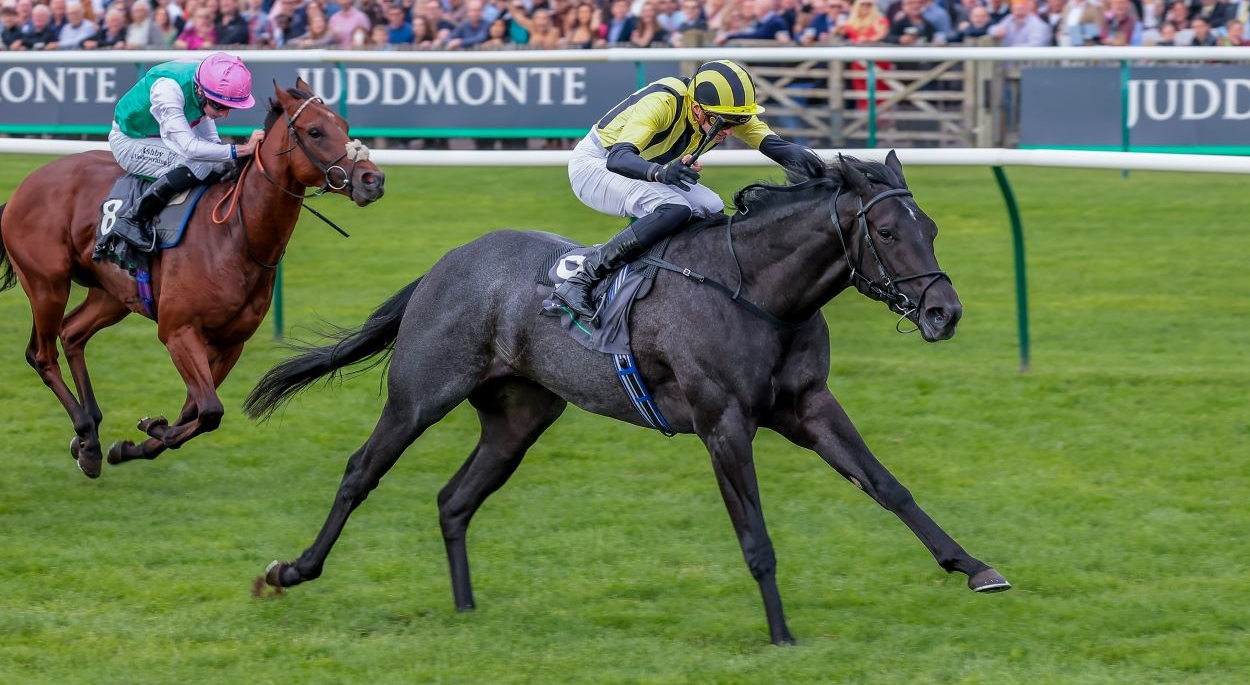 Vandeek winning his second Group-1 in the Middle Park Stakes at EC3V 0BT